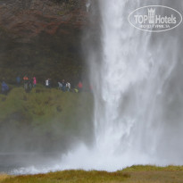 фото из отзыва ID 1245352