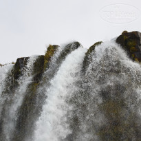 фото из отзыва ID 1245352