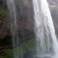 фото из отзыва ID 1245352