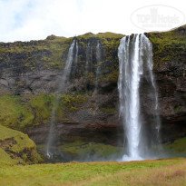 фото из отзыва ID 1245352