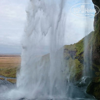 фото из отзыва ID 1245352