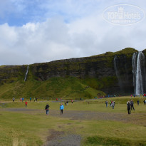 фото из отзыва ID 1245352