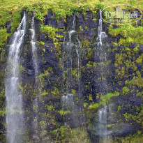 фото из отзыва ID 1245352