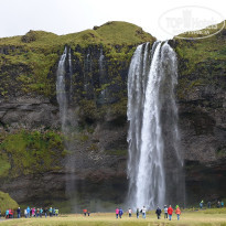 фото из отзыва ID 1245352