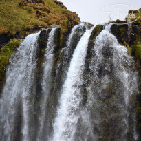 фото из отзыва ID 1245352