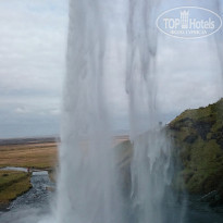 фото из отзыва ID 1245352