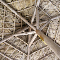 фото из отзыва ID 1248426