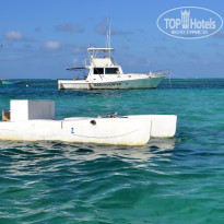 фото из отзыва ID 1248426