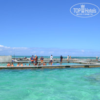 фото из отзыва ID 1248426