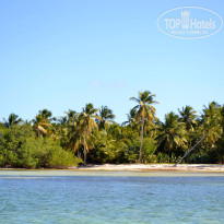 фото из отзыва ID 1248426