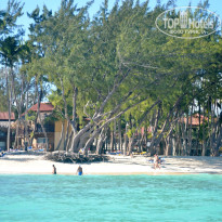 фото из отзыва ID 1248426