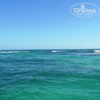 фото из отзыва ID 1248426