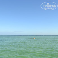 фото из отзыва ID 1248426