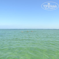 фото из отзыва ID 1248426