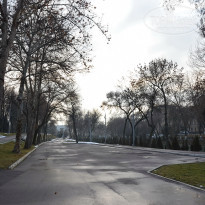 фото из отзыва ID 1248273