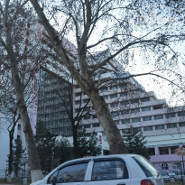 фото из отзыва ID 1248360