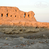 фото из отзыва ID 1248277