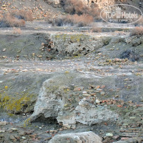 фото из отзыва ID 1248277