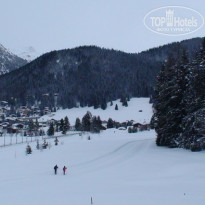 фото из отзыва ID 125081