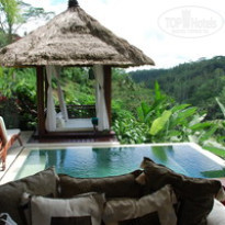 фото из отзыва ID 125310