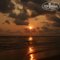 фото из отзыва ID 125808