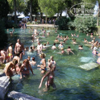 фото из отзыва ID 12549