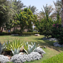 фото из отзыва ID 1250021