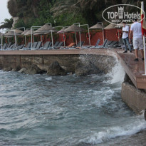 фото из отзыва ID 1250040