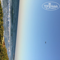 фото из отзыва ID 1250113