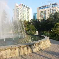 фото из отзыва ID 1250154