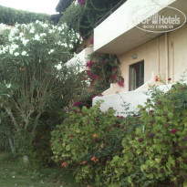 фото из отзыва ID 1250232