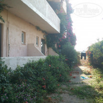 фото из отзыва ID 1250232