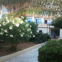 фото из отзыва ID 1250232