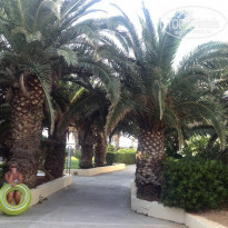 фото из отзыва ID 1250232