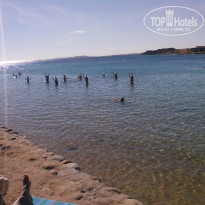 фото из отзыва ID 1250349