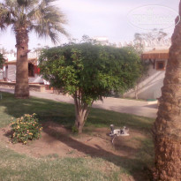 фото из отзыва ID 1250349