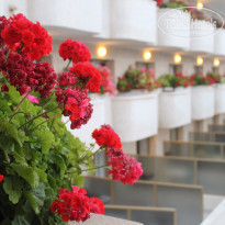 фото из отзыва ID 1250744