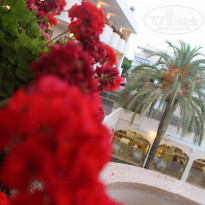 фото из отзыва ID 1250744