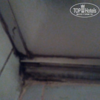 фото из отзыва ID 1250766