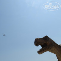 фото из отзыва ID 1250278