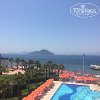 фото из отзыва ID 1250838