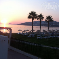 фото из отзыва ID 1250838