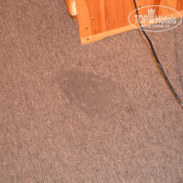 фото из отзыва ID 1250986