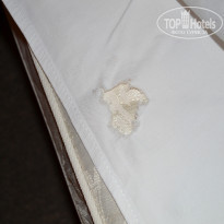 фото из отзыва ID 1250986