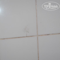 фото из отзыва ID 1250986