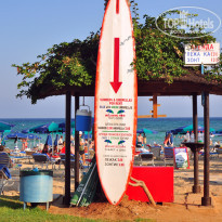 фото из отзыва ID 1251045