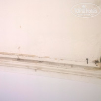 фото из отзыва ID 1251152