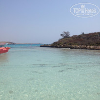 фото из отзыва ID 1251234