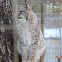 фото из отзыва ID 1251285