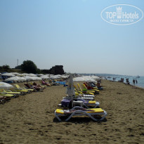 фото из отзыва ID 1251312